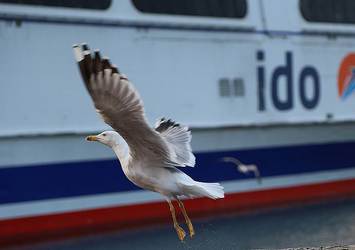 İDO e-Bilet uygulamasıyla bilet işlemlerini hızlandırmayı hedefliyor