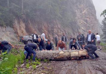 İşte Artvin Cerattepe'deki altın gerçeği