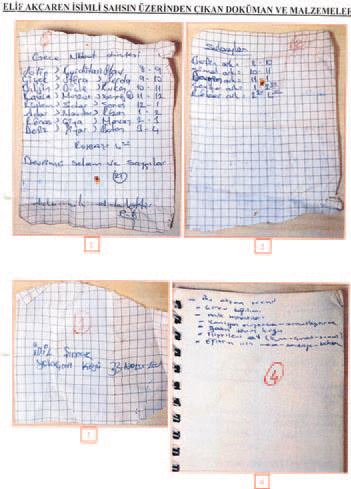 Örgüt Sur'da böyle çöktü - 1