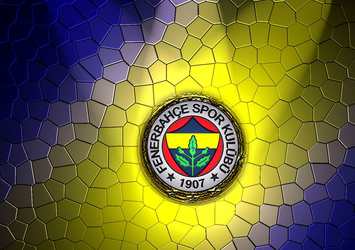 YÖK'ten Fenerbahçe'ye müjde
