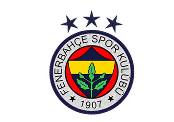 Fenerbahçe'ye Jan Vesely'den kötü haber