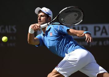 Novak Djokovic özür diledi