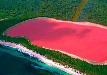 Pembe gölün sırrı ortaya çıktı