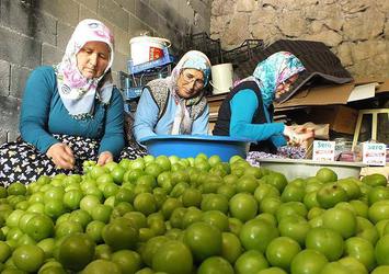 Eriğin fiyatı 30 liraya düştü