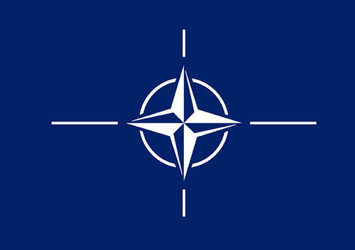 Afganistan'da NATO savaş uçağı düştü