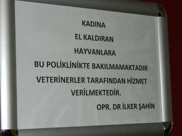 'Kadına el kaldıran hayvanlara bakılmamaktadır' - 1