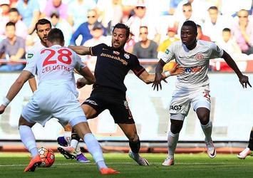 Aslan ağır yaralı!