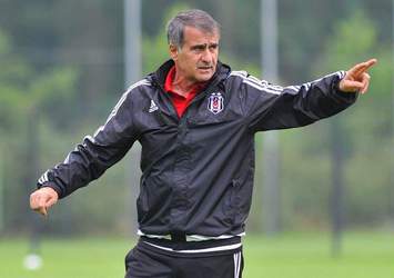 Şenol Güneş'ten olay yaratacak açıklama!