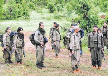 PKK’ya İsveç’ten desteğe suçüstü