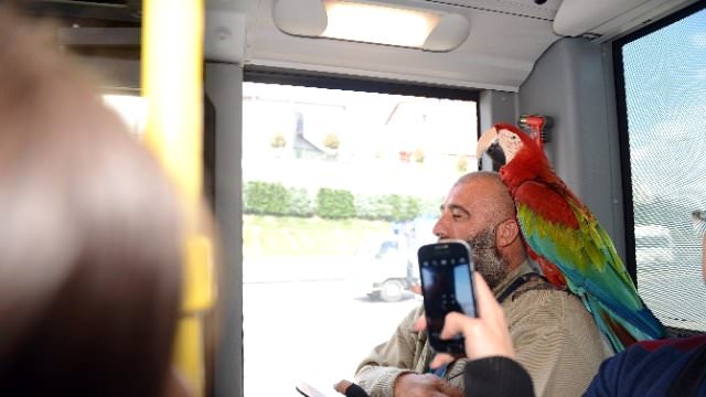 Allah'ı zikreden papağan - 1