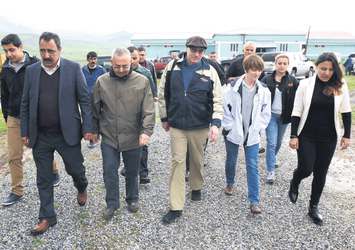 Mandıra filozofu