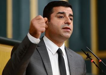 Demirtaş'ın abisinden canlı bomba için skandal benzetme!