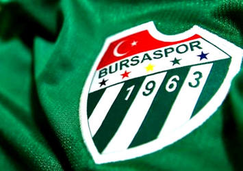 Bursaspor Hamzaoğlu ile anlaştı