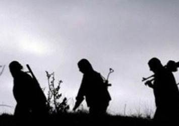 PKK'lı teröristlerin kaçırdıkları çiftçilerden ilginç istekleri
