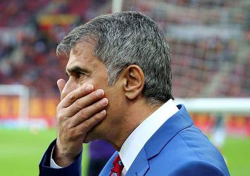 Ali Şen'den A Spor'a önemli açıklamalar 'Şenol Güneş'i ben istemiştim'