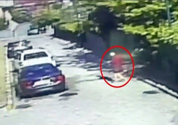 Havlamasına kızdığı köpeği anesteziyle bayıltıp...