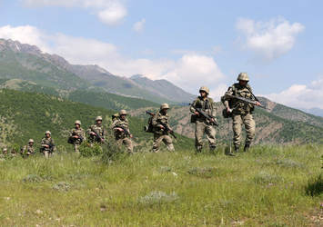 Hakkari, Şırnak ve Mardin'de 22 PKK'lı öldürüldü