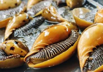 Kansere mucizevi çözüm