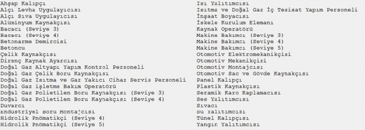 Yeterlilik belgesi olmayan çalışamayacak - 1