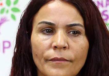HDP Siirt Milletvekili Konca hakkında soruşturma