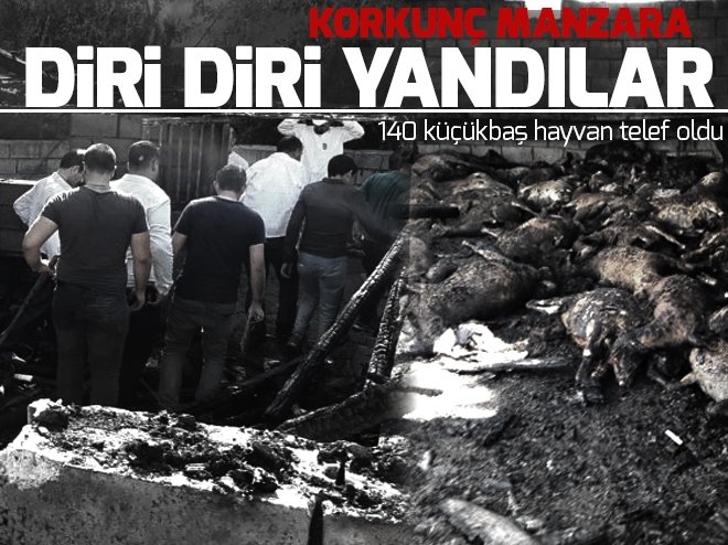 Diyarbakır'dan korkunç haber! - 1