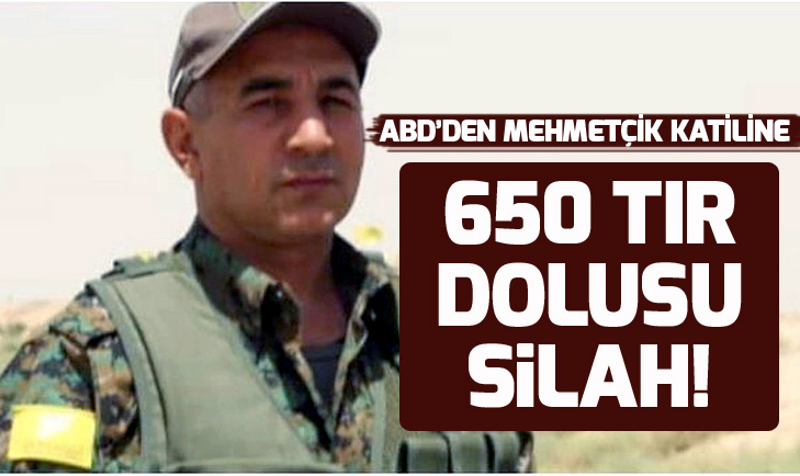 Şehide hakarete 14 ay hapis