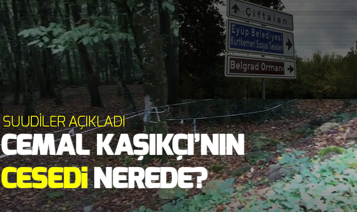 Cemal Kaşıkçı suikastını Erdoğan çözdü! - 2
