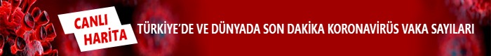 Koronayı 7 günde yenen kadın yaşadıklarını anlattı: İçim yanıyor, dışım donuyordu - 2