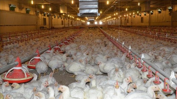 Çevre ve Şehircilik Bakanlığı harekete geçti! Hepsi kayıt altına alınacak - 3