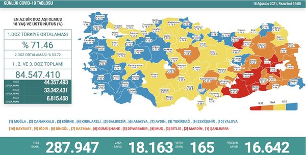 Sağlık Bakanlığı 17 Ağustos 2021 Kovid-19 vaka ve vefat tablosu | Türkiye'de koronavirüsten kaç kişi öldü vaka sayısı ne kadar? - 8