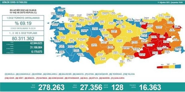 Sağlık Bakanlığı 17 Ağustos 2021 Kovid-19 vaka ve vefat tablosu | Türkiye'de koronavirüsten kaç kişi öldü vaka sayısı ne kadar? - 13
