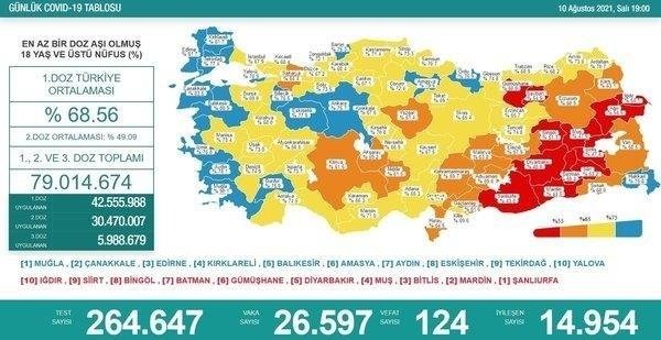 Sağlık Bakanlığı 17 Ağustos 2021 Kovid-19 vaka ve vefat tablosu | Türkiye'de koronavirüsten kaç kişi öldü vaka sayısı ne kadar? - 14
