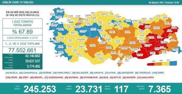 Sağlık Bakanlığı 17 Ağustos 2021 Kovid-19 vaka ve vefat tablosu | Türkiye'de koronavirüsten kaç kişi öldü vaka sayısı ne kadar? - 15