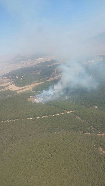 Son dakika: İzmir Foça’da orman yangını: Ekipler sevk edildi