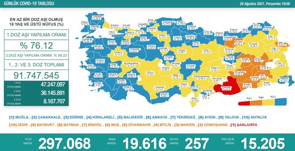 Sağlık Bakanlığı 29 Ağustos 2021 Kovid-19 vaka ve vefat tablosu | Türkiye'de koronavirüsten kaç kişi öldü vaka sayısı ne kadar? - 5