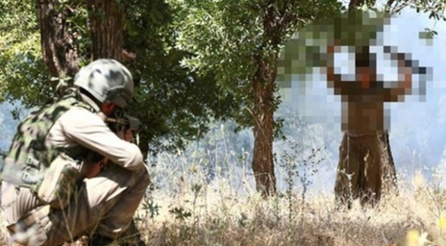 Son dakika: PKKda çözülme devam ediyor! 1 terörist daha teslim oldu
