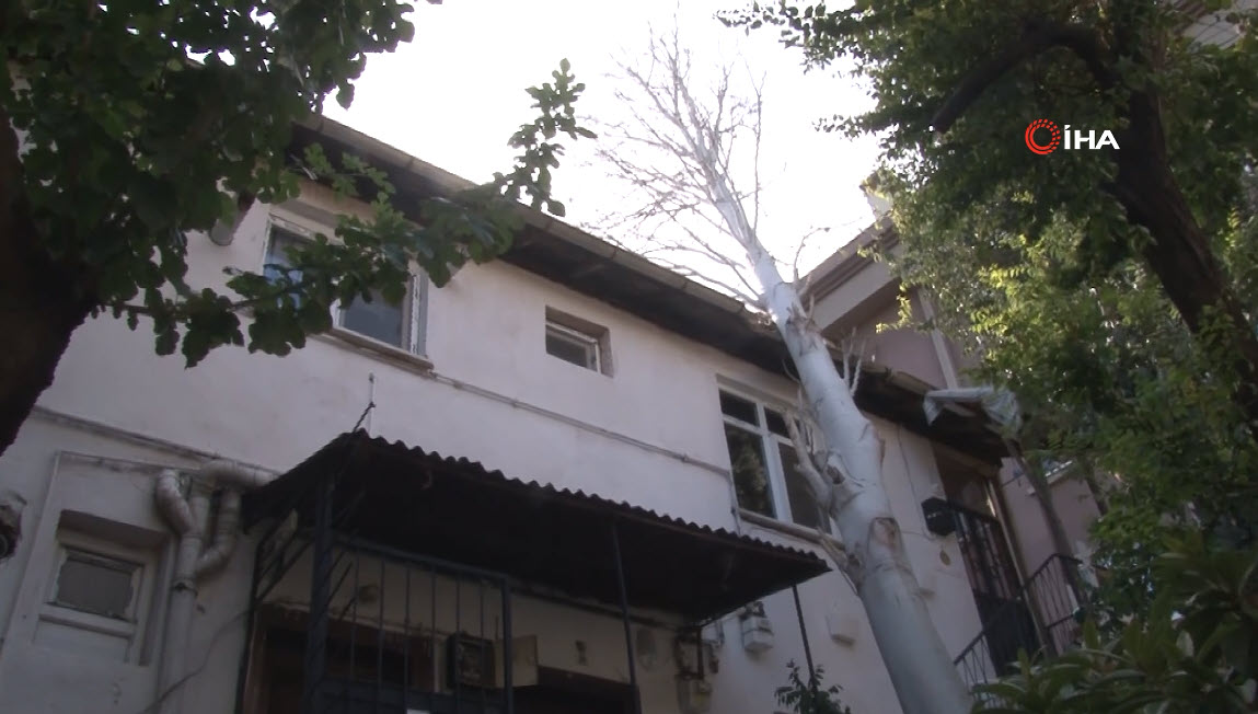 İstanbul Maltepede şiddetli rüzgarda devrilen ağaç evin çatısına düştü