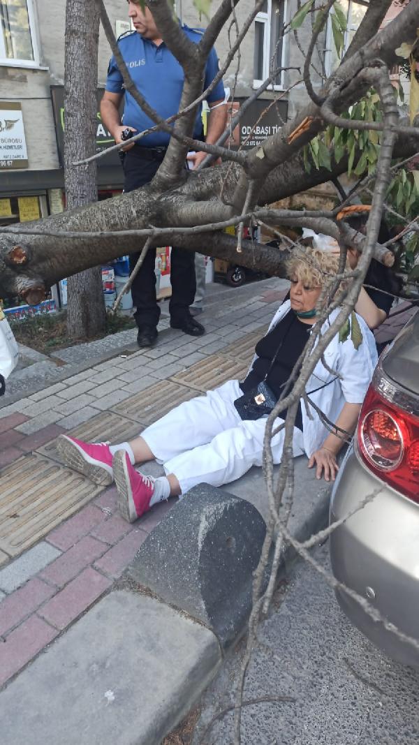 Bakırköy’de üzerine ağaç devrilen kadın yaralandı