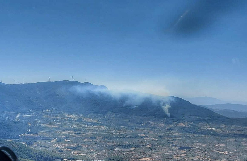 İzmirdeki orman yangını 1 saatte söndürüldü
