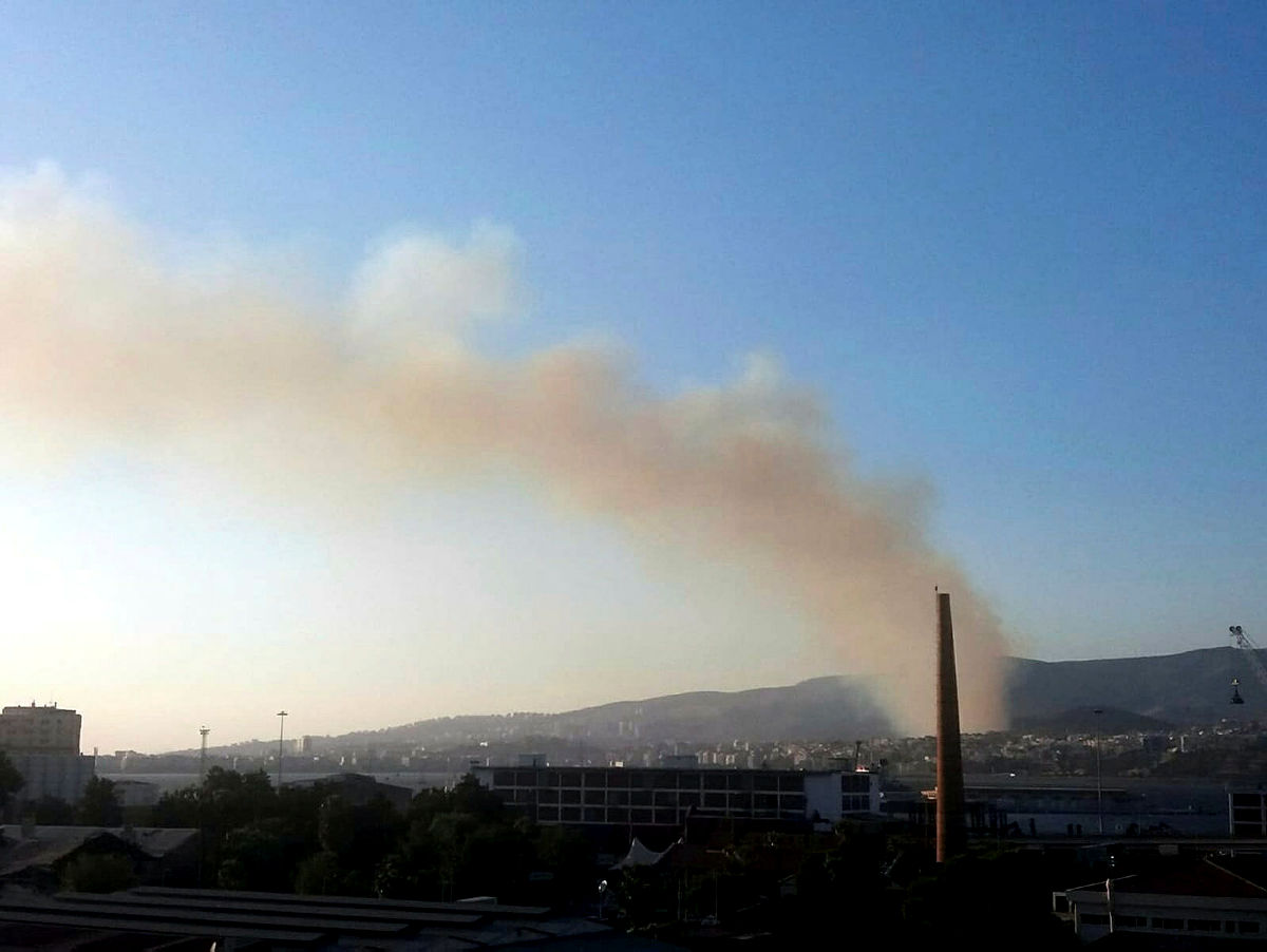İzmirde orman yangını: Çok sayıda ekip yangın bölgesinde