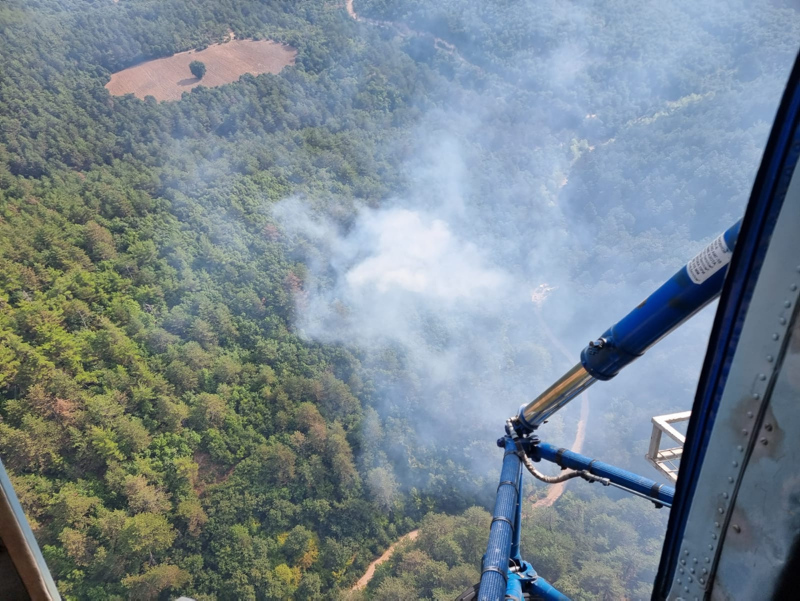 Son dakika: Balıkesirde orman yangını