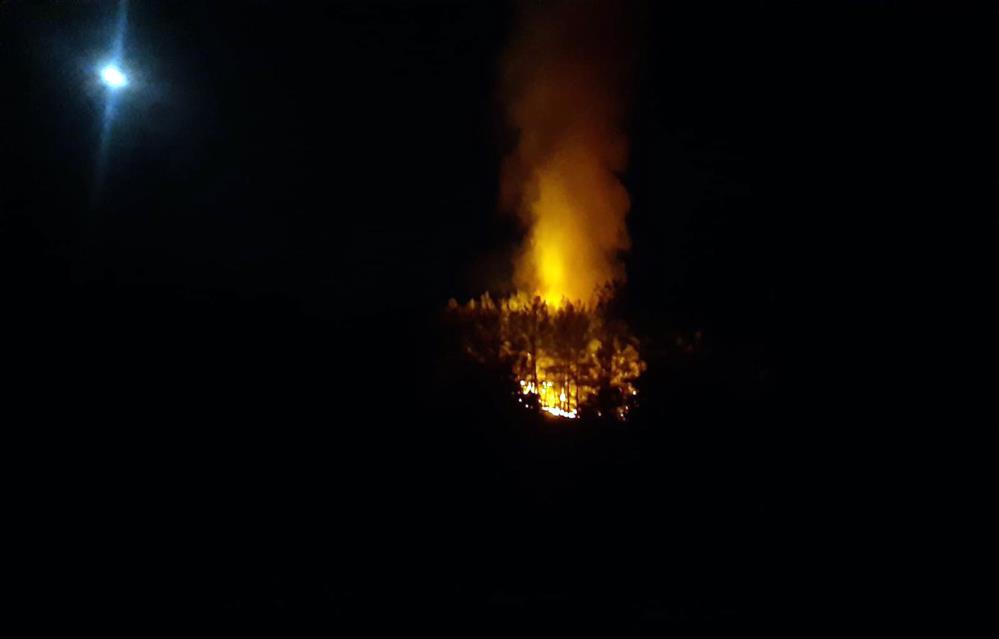 Fethiyede gece yarısı orman yangını! Çok sayıda ekip olay yerinde