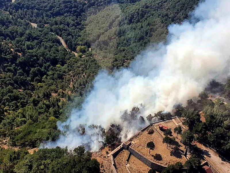 Son dakika: İzmirde orman yangını! Havadan ve karadan müdahale