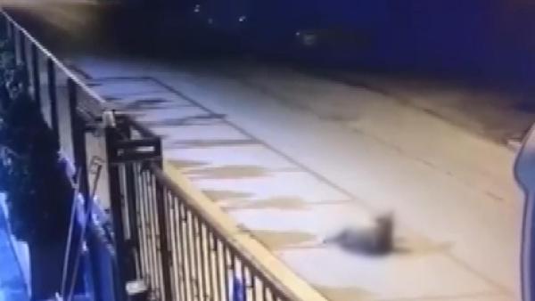 tuzlada-kopek-ezen-sahis-yoluna-devam-etti-o-anlar-kamerada-1632810077109.jpg Tuzla’da köpek ezen şahıs yoluna devam etti! O anlar kamerada - 1