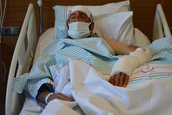 Tunceli’de bir vatandaş ayı saldırısına uğradı: Sıçrayarak üzerime geldi