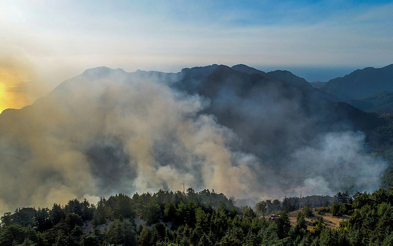 Antalyada orman yangını! Alevler o köye doğru ilerliyor