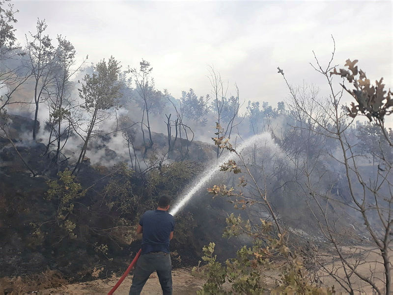 Son dakika | Tarım ve Orman Bakanı Bekir Pakdemirli yanan orman alanlarıyla ilgili son noktayı koydu