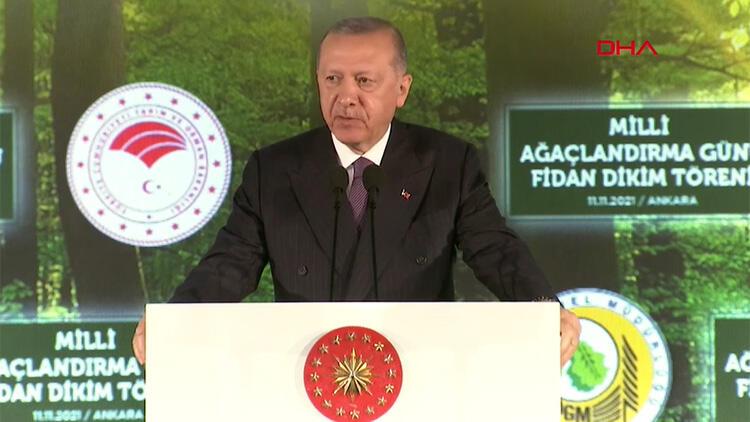 Son dakika: Başkan Erdoğandan Milli Ağaçlandırma Günü Fidan Dikim Töreninde önemli açıklamalar