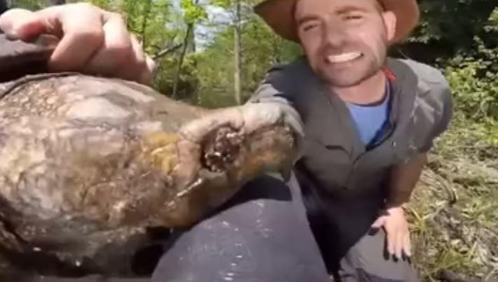 Kolunu timsah kapan kaplumbağanın ağzına soktu! Sonuç görenleri dehşete düşürdü