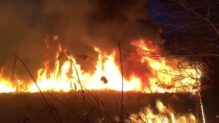 Son dakika: Kayseri Sultan Sazlığı Milli Parkında yangın çıktı!